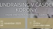 SK-CZ konference on-line